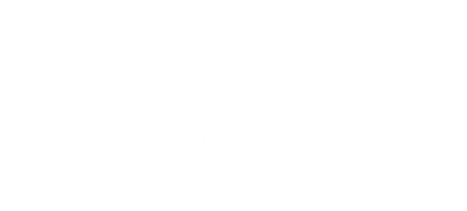 Stealth Search and Analytics